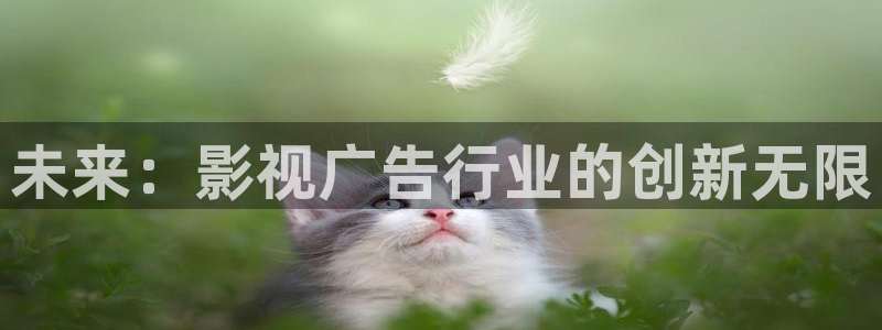 玖玖操視頻：未來：影視廣告行業的創新無限