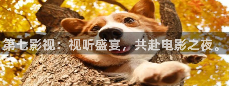 色玖玖綜合視頻