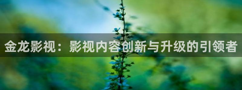 99玖玖視頻
